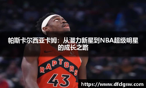 6T体育