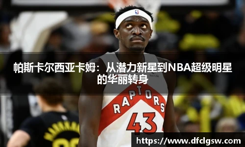 6T体育直播